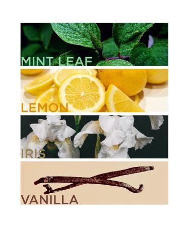 English Laundry Oxford Bleu Eau de Parfum 3.4 Fl Oz 3.4 Fl Oz (Pack of 1) - Buy Online on GoSupps.com