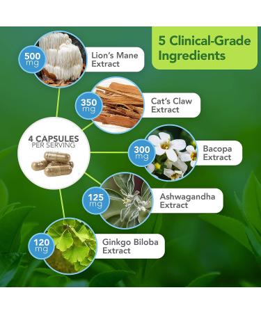Vital Plan Brain Boost Supplement by Dr. Bill Rawls | Brain Boosting Capsules with Lions Mane, Cats Claw, Bacopa, Sensoril Ashwagandha, & Ginkgo Biloba - Buy Online on GoSupps.com