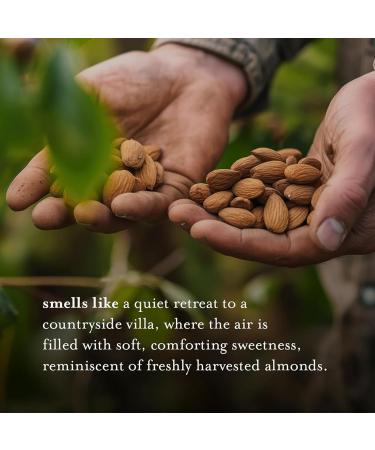 A LA MAISON Sweet Almond Natural Hand Wash Made with Essential Oils - Biodegradable Plant-Based Vegan Cruelty-Free (33.8 Fl Oz Refill 1 Pack) - Buy Online on GoSupps.com