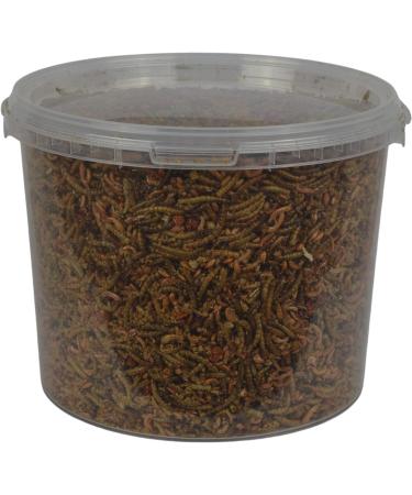 Supa Dried Mealworm Fruit & Honey Cocktail Mix for Wild Birds 3 Litre Bucket - High Energy Protein Rich Treat for Garden Birds - Attract More Birds with Quality Wild Bird Food - Buy Online on GoSupps.com