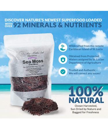 Wildcrafted Purple Sea Moss from St. Lucia - 100% Natural & Raw - 4oz Pack - Hard to Find Irish Moss - Buy Online on GoSupps.com