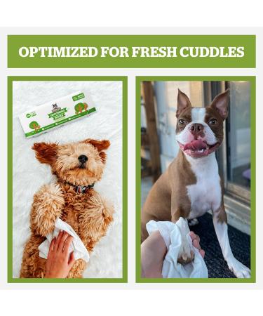 Pogis Care Cloths - 100 Biodegradable Desodorizing Wipes for Dogs - Extra Red Green Tea Fragrance - Buy Online on GoSupps.com