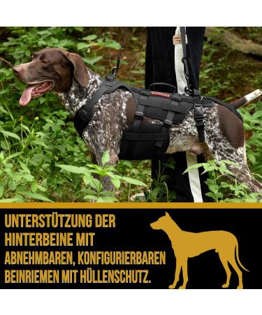 Oneigris Dog Harness & Invictus Support Dishes for Medium/Large Dogs - Adjustable & Safe with 3 Handles - Buy Online on GoSupps.com