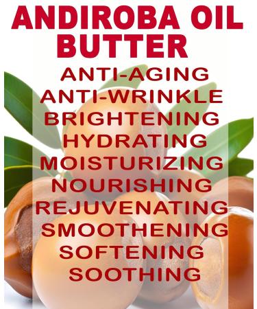 Botanical Beauty Andiroba Oil Butter - Raw Pure Natural Virgin Unrefined Cold-Pressed 16 Fl Oz | Nourish Face Skin Body Hair Lips & Nails - Rich in Vitamin E & C - Buy Online on GoSupps.com