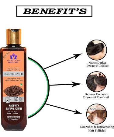 Blessfull Healing Organic Coffee Hair Cleanser | Shampoo 200 ML (Packing May Vary) - Buy Online on GoSupps.com