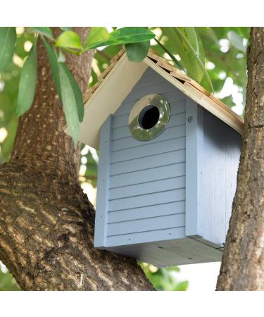 Navaris Wooden Bird House - Garden Nesting Box for Small Birds - Pine Wood Birdhouse - Real Wood Nester Cabin for Robins Blue Tits Sparrows - Blue - Buy Online on GoSupps.com