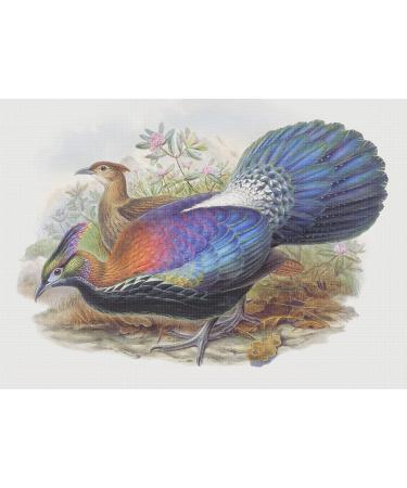 Orenco Originals Bird Monal Himalayan Pheasant Naturalist John Gould Counted Cross Stitch Pattern