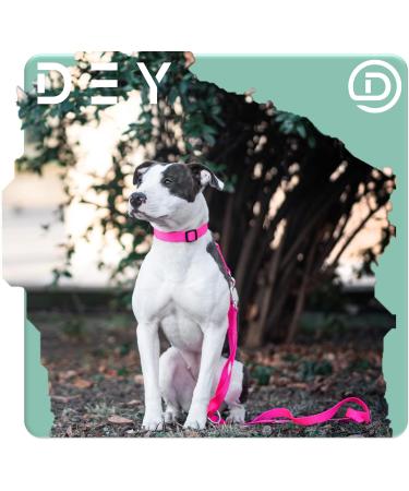 Dey Premium 3-Way Adjustable Dog Leash - 2m Nylon for Small Medium & Large Dogs | Multiple Colors Available | Doubleein Puppy Leash - Purple (M) - Buy Online on GoSupps.com