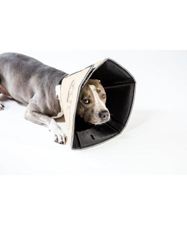 All Four Paws Comfy Cone X-Large Pet Collar - Comfortable Adjustable Recovery Cone for Dogs - Pack of 1 in Nude Color - Buy Online on GoSupps.com