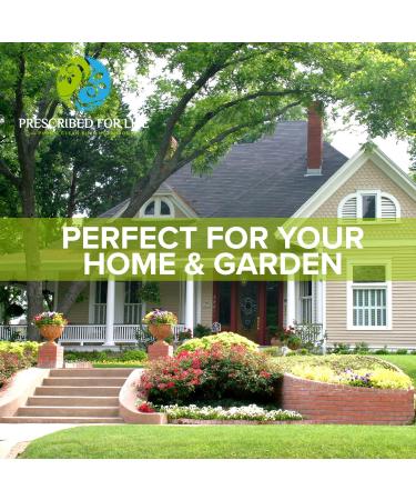 Prescribed for Life Potassium Carbonate Powder Natural USP Food Grade Potash for Plants Soap Supplements & More Pure Bulk Potassium Powder (12oz / 340g) - Buy Online on GoSupps.com