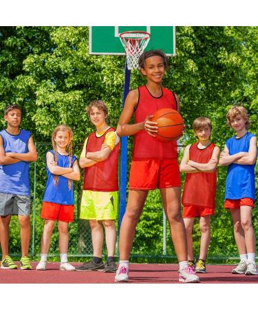 24-Piece Nylon Mesh Pinnies Scrimmage Vests for Youth Sports - Blue and Red - Buy Online on GoSupps.com