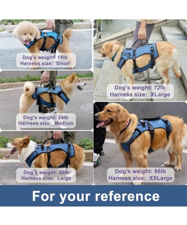 COODEO Dog Lifting Harness - Adjustable Breathable Support for Rehabilitation | Ideal for Old & Disabled Pets - Blue - International Shipping - Buy Online on GoSupps.com