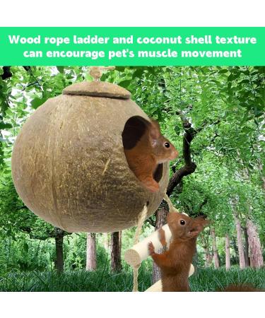 Aobuviou Gecko Coconut Husk Hut Coconut Bird Nest Reptile Coconut Hide with Ladder Natural Reptile Hideouts Bird Coconut Shell Coconut Hide for Reptiles Bird Small Animal - Buy Online on GoSupps.com