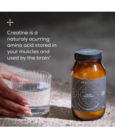 Ancient + Brave True Creatine+ Powder 6.35oz (Ap 30 Servings) Monohydrate Creatine Supplement with Taurine Magnesium and Vitamin D Supplement Womens Creatine Powder for Energy and Performance Jar (6.34 oz) - Buy Online on GoSupps.com