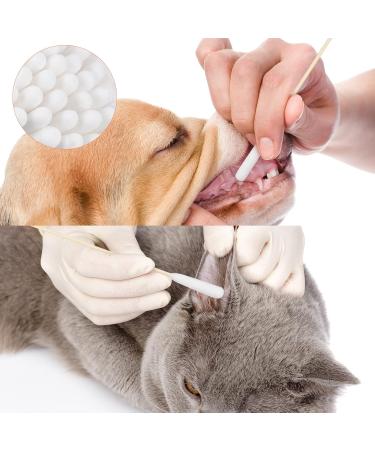 100pcs Fashiontide Dog Ear Cleaning Swabs | Pet Ear Cleaner Cotton Sticks for Dogs & Cats - Buy Online on GoSupps.com
