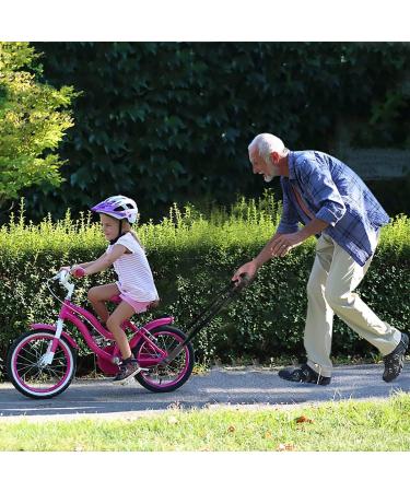 Handsonic Dark Black Bicycle Rod for Children's Bikes - Slipproof Safety Handle & Learning Aid - Buy Online on GoSupps.com