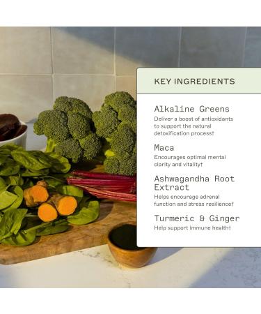 Amy Myers MD Organic Greens Powder - Supports Energy & Gut Health - USDA Organic Superfood Blend with Spirulina, Chlorella, Barley Grass - 270g (30 Servings) - Buy Online on GoSupps.com