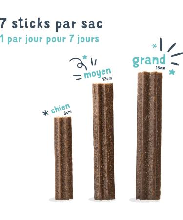 Edgard Cooper Friandises Pour Chien (Eucalyptus & Pomme 7 b tons x 8) Grand Un par Jour Faible en Calorie Mastication Longue Efficace Haleine Fra che - Buy Online on GoSupps.com
