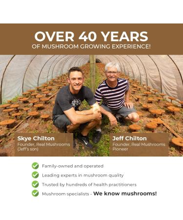 Cordyceps Performance Mushroom Extract Powder - Boost Energy & Endurance (120ct) Non-GMO - 60 Days Supply - Buy Online on GoSupps.com