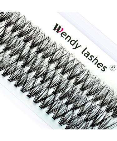 Individual Cluster Lashes D Curl 0.07mm 14mm 30 Root Cluster Eyelash Extensions Grafting Individual Cluster Eyelashes 30D DIY Lashes Clusters Lash Extensions(Clusters-30D-0.07-D-14) RR-14mm Clusters-30D-0.07-D