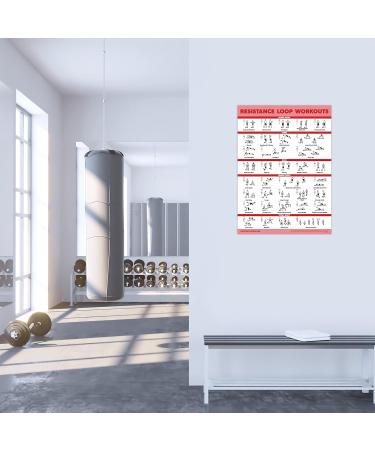 Resistance Bands & Loops Workout Posters 2 Pack - Laminated Exercise Charts - Light 18x24 - Buy Online on GoSupps.com