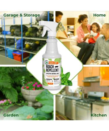 Mighty Mint 16oz Natural Peppermint Oil Spray - Cockroach Repellent - Buy Online on GoSupps.com