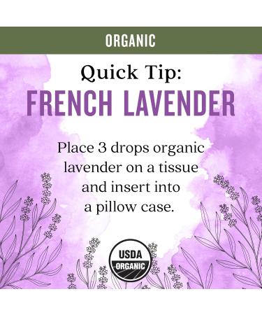 Aura Cacia Organic French Lavender Pure Essential Oil, Vegan, Cruelty Free, 0.25 Fluid Ounces (Pack of 1) - Buy Online on GoSupps.com