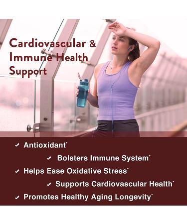 Zinc Quercetin 120 Capsules - Vegetarian Friendly | Immune Support Supplement - Buy Online on GoSupps.com