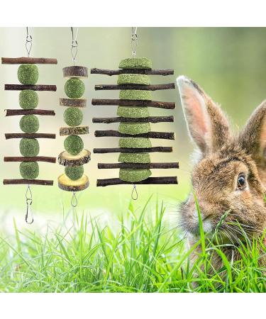 Erkoon Natural Timothy Hay Rabbit & Small Animal Chew Cubes | Dental Care Treats for Hamsters Chinchillas Guinea Pigs & More - Buy Online on GoSupps.com