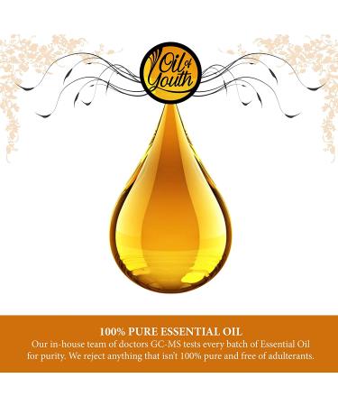Organic Lavender Essential Oil 16oz - Pure and Natural, Large 16oz Bottle - Buy Online on GoSupps.com