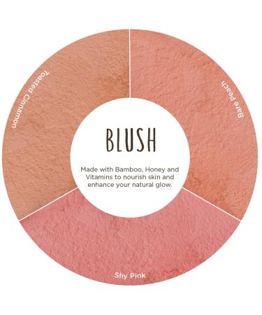 Burt's Bees 100% Natural Blush with Vitamin E - Shy Pink, 0.19 oz (Pack of 1) - Buy Online on GoSupps.com