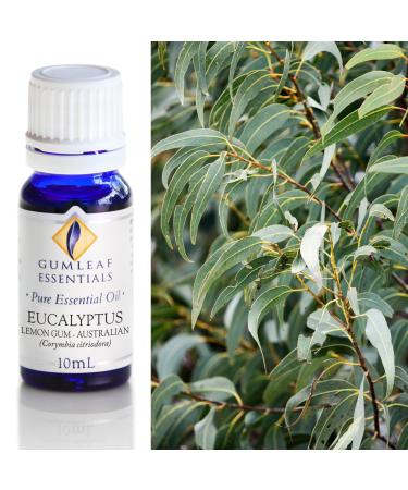Gumleaf Essentials Eucalyptus Lemon Gum Essential Oil - 0.34fl oz Cruelty Free & Vegan 100% Pure & Natural