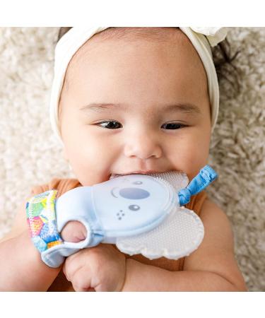 Infantino Crystal Clear Teething Mitten - Koala Design | Soft Textured Silicone | Natural Rubber Teether for Babies - Buy Online on GoSupps.com