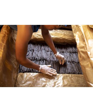 Kiddu Gourmet Grade A Vanilla Beans for Baking - 12 Whole Pods in Resealable Pouch 18cm-20cm - Buy Online on GoSupps.com