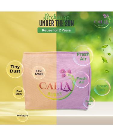 Activated Charcoal Odor Absorber Bags - Natural Air Purifier for Home Car & Closet | Eliminate Smoke Pet Odors & Moisture (400g - Buy Online on GoSupps.com