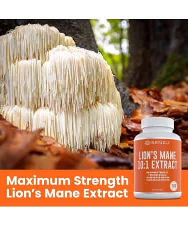 Organic Lions Mane Extract 12 000mg 30% Polysaccharides - Max Strength Mushroom Powder Extract - Natural Immunity & Source of Antioxidants | 120 Capsules | Made in Canada - Buy Online on GoSupps.com