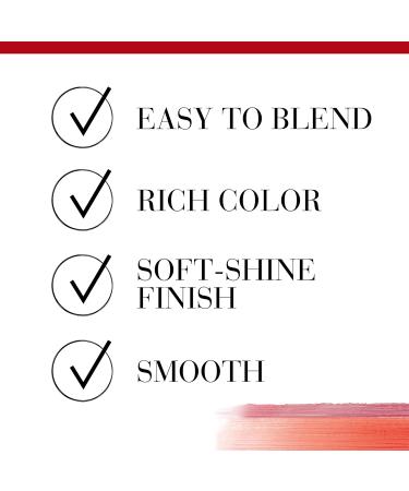 Bourjois Sweet Duo Lipstick Number 06 Rouge Tango 1 g 06 Rouge Tango 1 g (Pack of 1) - Buy Online on GoSupps.com