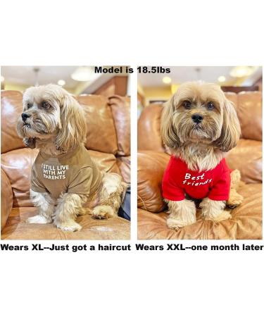 Cute Dog T-Shirt for Medium & Small Dogs - Breathable Pet Costume for Puppies & Cats (S-(48lb) Chest14 Aqua) - Buy Online on GoSupps.com