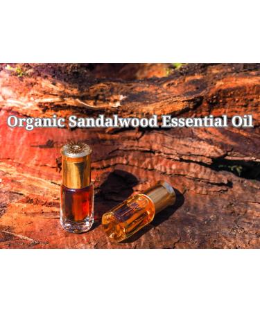 Buy SWC Body Oils | Sandalwood Patchouli - Luxury Aromatherapy for All Skin Types - Buy Online on GoSupps.com