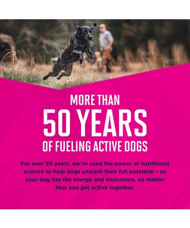 Eukanuba Puppy Small Breed Puppy Food 15 Pounds Chicken 240 g (Pack of 1) Standard Packaging - Buy Online on GoSupps.com