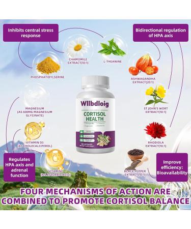 Cortisol Supplements for Women Men, High Cortisol Reducer Health, Detox Cortisol Manager for Stress Relief ,Mood and Sleep with Ashwagandha, L-Theanine, Lower and Control - Non-GMO,Vegan 60 Capsules 60 Count (Pack of 1) - Buy Online on GoSupps.com