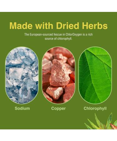 Herbs Etc. ChlorOxygen & Lung Tonic Chlorophyll & Herbal Lung Support for Blood Oxygen Energy Breathing & Bronchial Health with Mullein Horehound & Grindelia 240 Softgels - Buy Online on GoSupps.com