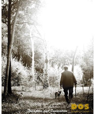 Buy D.O.S. Specialit   al Tartufo 30ml White Truffle Aroma Concentrate - Premium Professional Culinary Ingredient - Buy Online on GoSupps.com