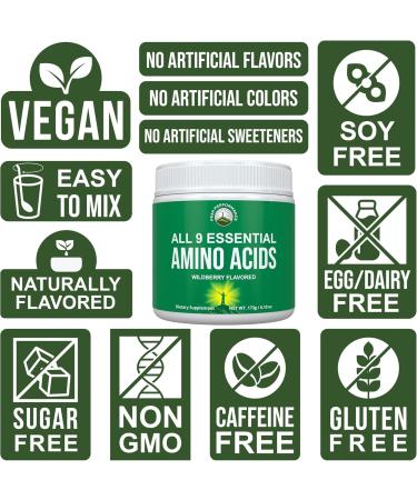 All 9 Essential Amino Acids Powder - 32X More Effective than BCAAs | Wildberry EAA Supplement for Energy & Muscle Growth | Clinically Studied - Buy Online on GoSupps.com