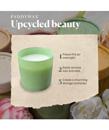 Shop Paddywax Firefly Optimist Scented Candle - 7oz Soy Wax Wild Fern Fragrance Reusable Glass Jar | International Shipping Available - Buy Online on GoSupps.com