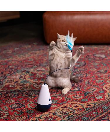 Kittio Wild Tumbler Cat Toy with 4X Replacement Feather Attachments - Interactive and Fun Exercise Toy for Cats - Buy Online on GoSupps.com