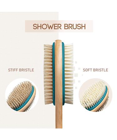 MainBasics Dual-Sided Bath Shower Brush - Long Handle Back Scrubber & Body Exfoliator in Teal - Buy Online on GoSupps.com