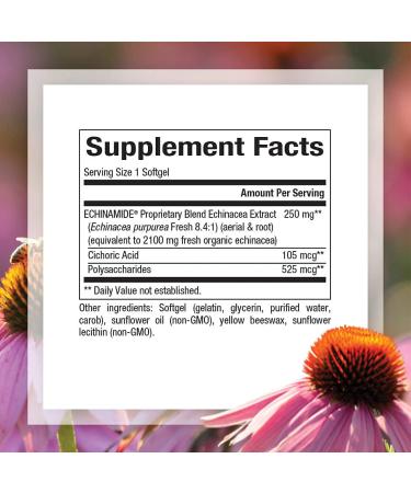Natural Factors Echinamide 60 Softgels - Immune Support Supplement - Buy Online on GoSupps.com
