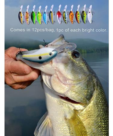 Facikono Crankbait Set - 12pcs Crappie & Bass Fishing Lures - Hard Topwater Swimbait 3.94inches - Fishing Gifts for Men - Buy Online on GoSupps.com