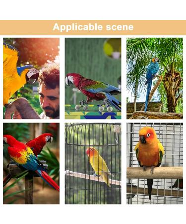 Wooden Bird Ladder Toy - Natural Climbing Step Toy for Parakeets, Parrots, Cockatoo & Lovebirds | Available in 4 Sizes - Buy Online on GoSupps.com